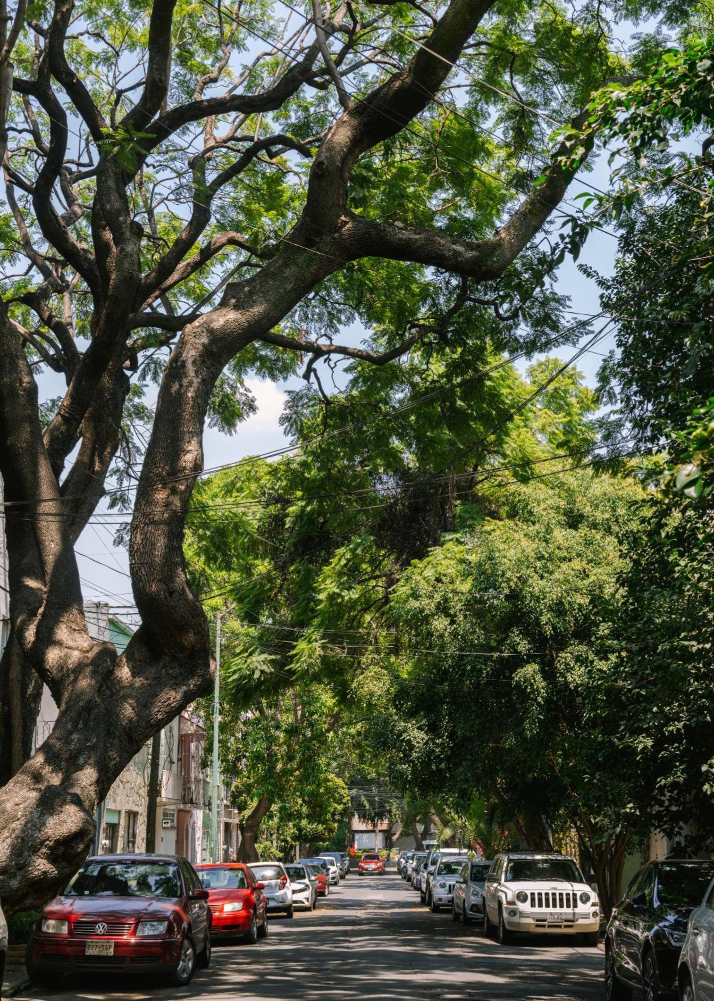 Sonder Miravalle 멕시코 시 외부 사진